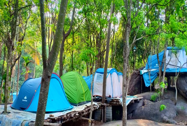 Wayanad Adventure Camping Tent Stay And Trekking In Wayanad Camping Wayanad